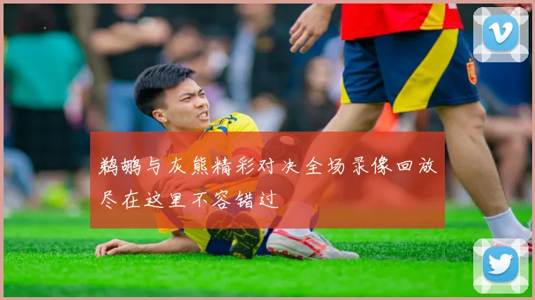 鹈鹕与灰熊精彩对决全场录像回放尽在这里不容错过