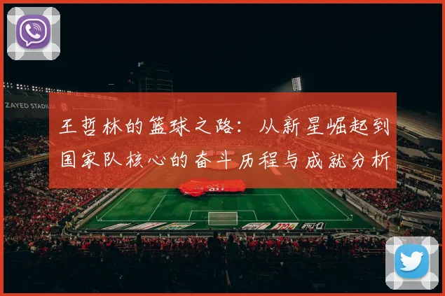 王哲林的篮球之路：从新星崛起到国家队核心的奋斗历程与成就分析
