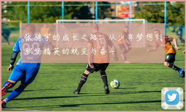 张骋宇的成长之路：从少年梦想到职场精英的蜕变与奋斗