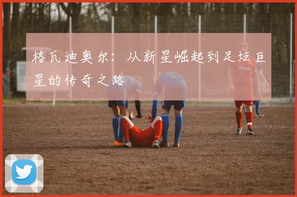 格瓦迪奥尔：从新星崛起到足坛巨星的传奇之路